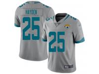 #25 Limited D.J. Hayden Silver Football Youth Jersey Jacksonville Jaguars Inverted Legend