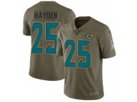 Nike D.J. Hayden Limited Olive Youth Jersey - NFL Jacksonville Jaguars #25 2017 Salute to Service