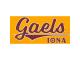 Men Iona College Gaels American Classic T-Shirt - Gold