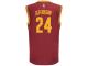 Richard Jefferson Cleveland Cavaliers adidas Replica Jersey - Wine