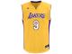 Ronnie Price Los Angeles Lakers adidas Replica Jersey - Gold